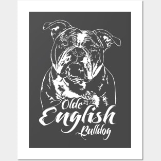 Olde English Bulldog dog lover dog portrait Posters and Art